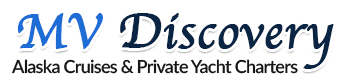 Discovery logo