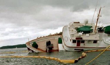 Malibu on Shirtail Reef, July 2002