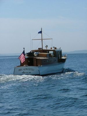 Shearwater